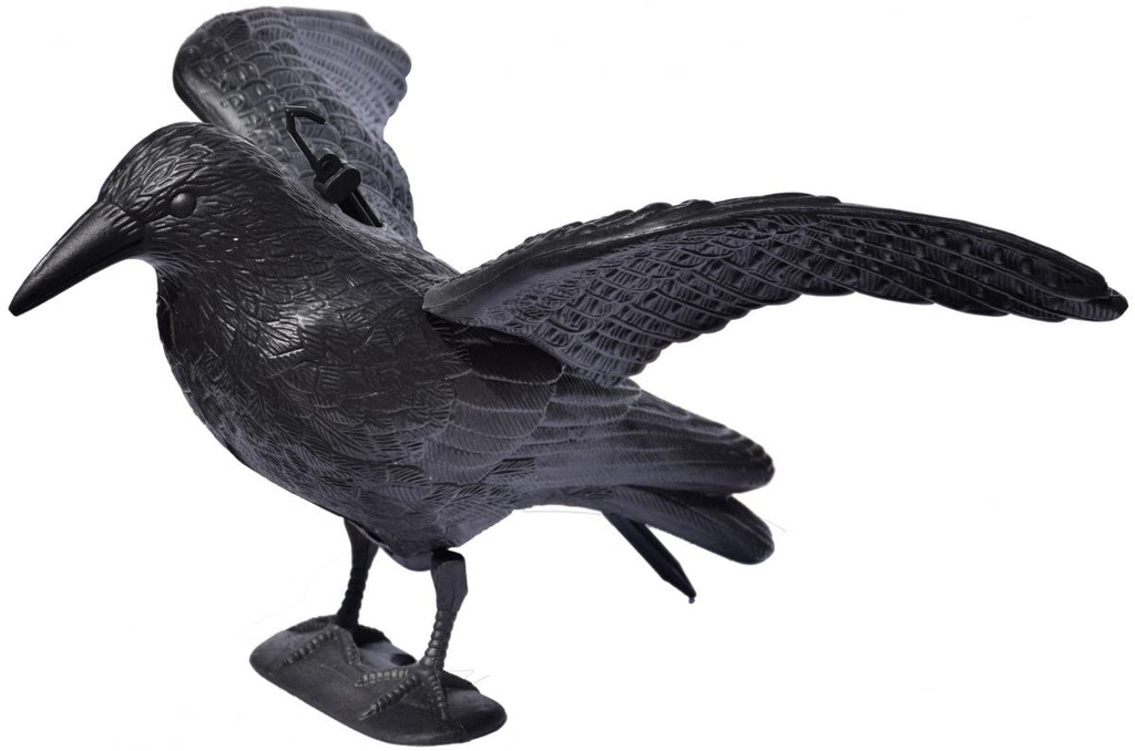 Kunststoff Krähe zur Tauben- und Möwenabwehr