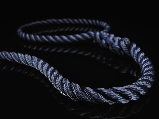 FSE Robline® Fenderleine mit Auge